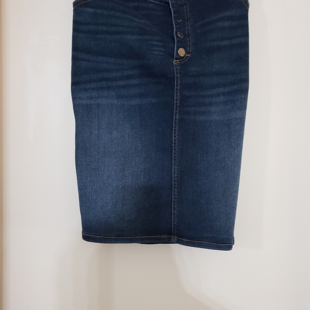 Women's Plus Size Denim Pencil Skirt